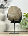 Natural Amethyst Crystal on Stand - MWS3208