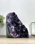 XXL Top Grade Uruguayan Amethyst Cathedral - CBP1192