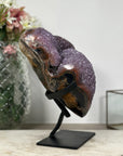 Stuning Natural Amethyst Cluster with Agate Shell - AWS1353