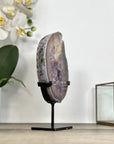 Amethyst Geode Slice with Deep Purple Crystals - MWS2914