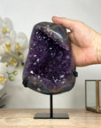 Unique Natural Amethyst Geode with Beautiful Agate Shell - MWS1870
