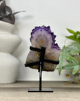 Uruguayan Amethyst Cluster with Large & Shinny Crystals - MWS3308
