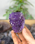 Mineral Specimens Lot - MSLT0213