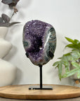 Amethyst & Green Jasper Geode on Metal Stand - MWS3101