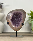 Uruguayan Amethyst Geode with Stunning Quartz Shell - MWS3340