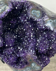 Top Quality Amethyst Geode with Unique Stalactite Formations - MWS2318