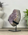 Natural Amethyst Cluster with Unique Quartz Matrix - MWS3333