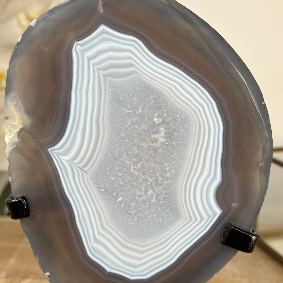Uruguayan Blue Banded Agate Polished Slice with metal Stand - MWS2000