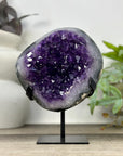 Amethyst Geode on Metal Stand with Unique Shinny Crystals - MWS3312
