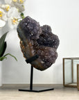Natural Amethyst Crystal Formation - MWS2301