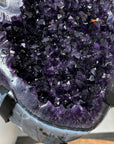 Natural Top Quality Amethyst Geode with Blue Abate Shell - MWS3073