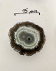 Natural Amethyst, Quartz & Jasper Stalactite Slices Wholesale Flat - Ideal for Pendants - STS0065