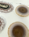 Unique Agate & Quartz Natural Stalactite Slices Set - Natural Crystal for Handmade Jewelry - STS0064