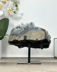 Natural Quartz Specimen full of Salactite Formations - MWS2900