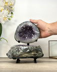 Natural Amethyst & Agate Jewelry Box Geode - MWS2976