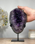 Uruguayan Amethyst Geode with agate Shell - MWS1321