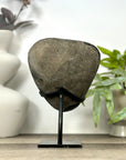 Natural Green Tone Sugar Quartz Specimen - Stand Included - MWS3159