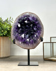 Natural Amethyst Geode with Large & Shinny Crystals - MWS2154