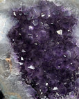 Uruguayan Amethyst Geode with agate Shell - MWS1264