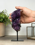 Natural Amethyst Crystal Cluster on Stand - MWS2151