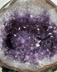 Natural Amethyst Geode with Polished Agate Shell - Stand Included - MWS3034