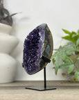 Large Deep Purple Amethyst Specimen - MWS3304
