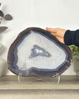 Polished Blue Banded Agate Slice - SLC0024