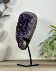 Natural Top Quality Uruguayan Amethyst Geode with Stand - MWS3235