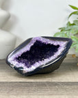 Uruguayan Amethyst geode with agate Shell - STGE0044