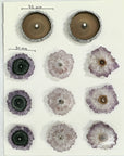 Wholesale Amethyst Stalactite Slices for Jewelry Making - Bulk Flat Set - STS0044