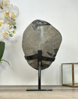 Large methyst Crystal Cluster from Uruguay– Stand Included - MWS2936