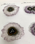 Amethyst & Quartz Stalactite Slices Set - Natural Crystal for Handmade Jewelry - STS0069