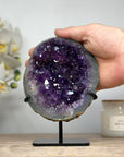 Natural Uruguayan Amethyst Geode Cave - MWS1532