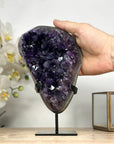 A+ Uruguayan Amethyst Specimen - MWS1973