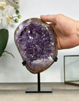 Uruguayan Amethyst Cluster with Jasper Shell on Stand - MWS2894