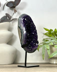 A Grade Natural Amethyst Geode on Stand - MWS3162