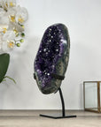 Premium Amethyst Geode on Stand with Deep Purple Crystals - MWS2935