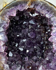 Amethyst Geode Cave with Polished Shell - MWS1792