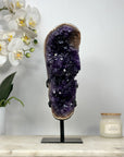 Natural Top Grade Amethyst Cluster with Jasper Matrix - MWS2043
