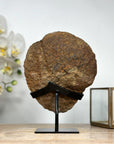Natural Sugar Druzy Quartz Geode with Stand - MWS1899