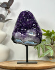 Natural Amethyst & Blue Agate Shell Statement Piece - MWS3116