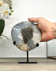 Natural Quartz Geode Crystal - Unique Mineral Display from Uruguay - MWS2889