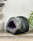 Xl Natural Amethyst Geode with Agate Shell - STGE0072