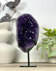 A Grade Natural Amethyst Geode on Stand - MWS3162