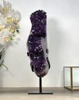 Amethyst Geode on Stand – Large Top Grade Statement Piece from Uruguay - MWS2597