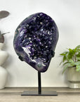 A+ Grade Natural Uruguayan Amethyst Specimen - MWS3396