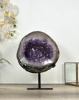 Natural Amethyst Geode with Polished Agate Shell - Stand Included - MWS3034