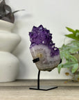 Uruguayan Amethyst Cluster with Large & Shinny Crystals - MWS3308