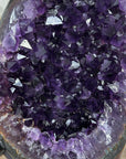 Large Amethyst Geode with Natural agate Shell - MWS1712
