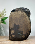Stunning A grade Amethyst Crystal - CBP0935